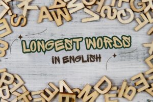 Longest Words in English